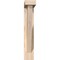 Ekena Millwork Traditional Block Smooth Bracket w/ Offset Brace, Douglas Fir, 3 1/2"W x 16"D x 20"H BKT0402X16X20TRA05SDF - alternate 4